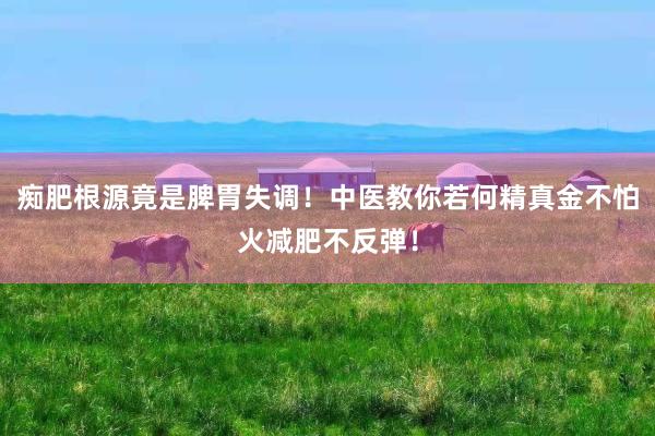 痴肥根源竟是脾胃失调！中医教你若何精真金不怕火减肥不反弹！