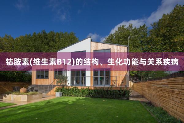 钴胺素(维生素B12)的结构、生化功能与关系疾病