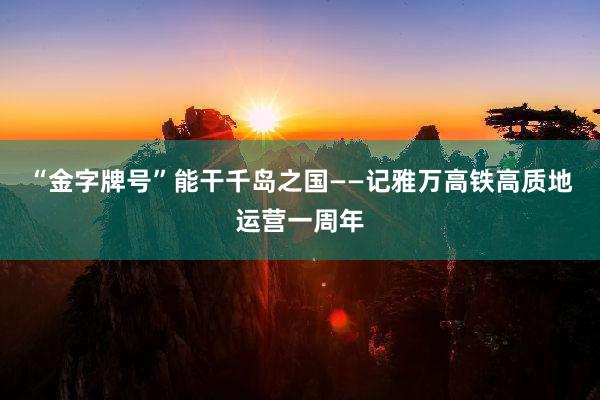 “金字牌号”能干千岛之国——记雅万高铁高质地运营一周年