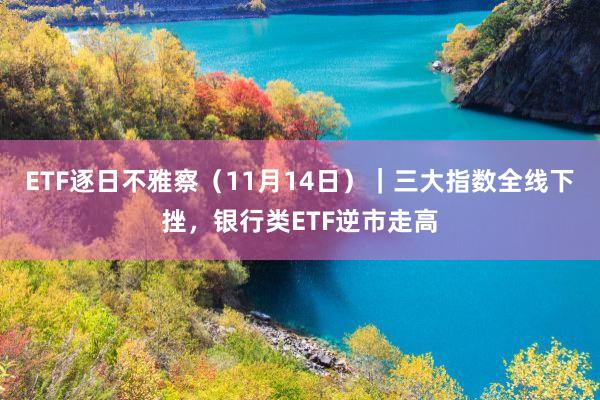 ETF逐日不雅察（11月14日）｜三大指数全线下挫，银行类ETF逆市走高