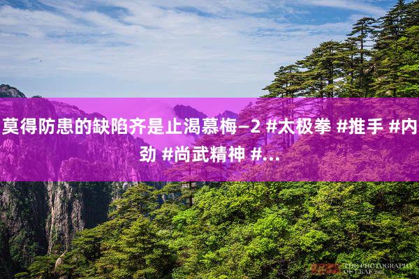 莫得防患的缺陷齐是止渴慕梅—2 #太极拳 #推手 #内劲 #尚武精神 #...