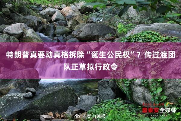 特朗普真要动真格拆除“诞生公民权”？传过渡团队正草拟行政令